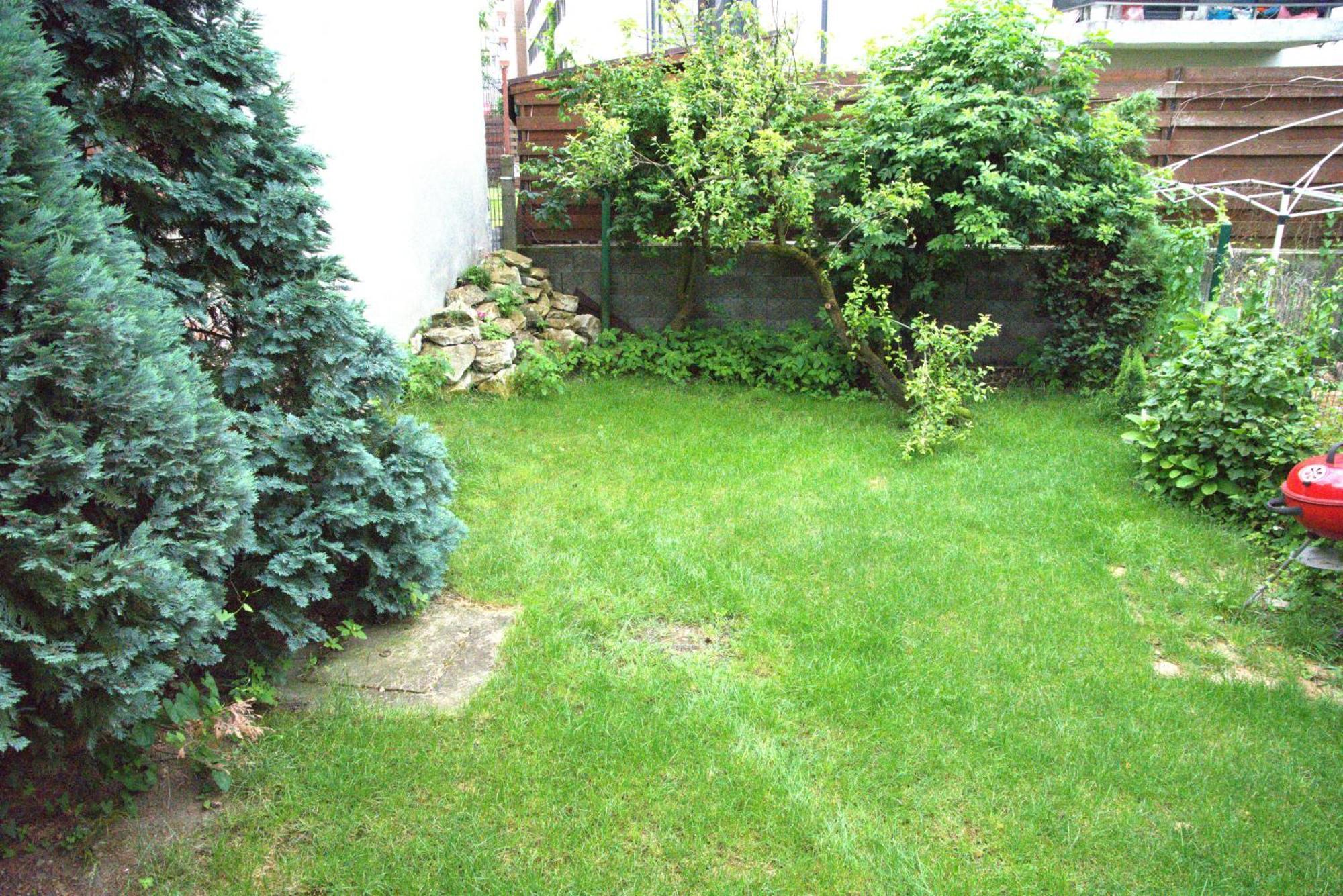 Homey Luxury- Entire House, Free Parking, Yard Cluj-Napoca Extérieur photo
